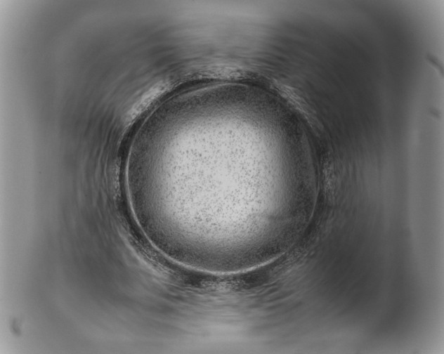 X0000101960679200808011108