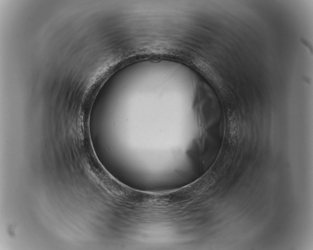 X0000101960680200808011108