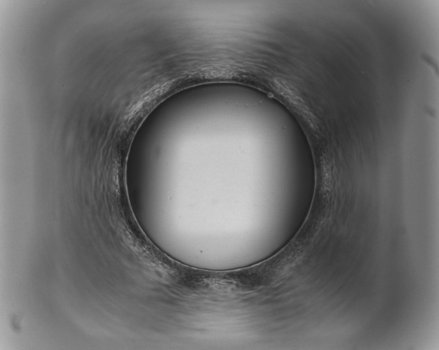 X0000101960681200808011108