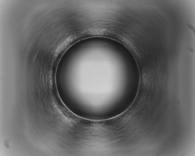 X0000101960682200808011108