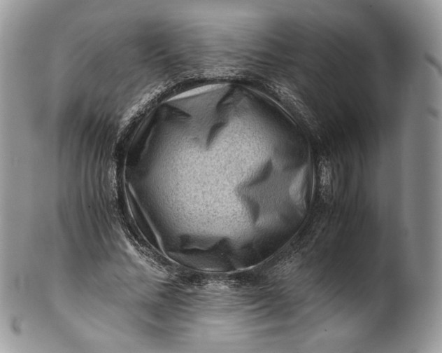 X0000101960684200808011108