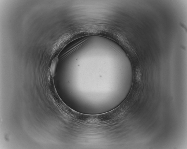 X0000101960685200808011108