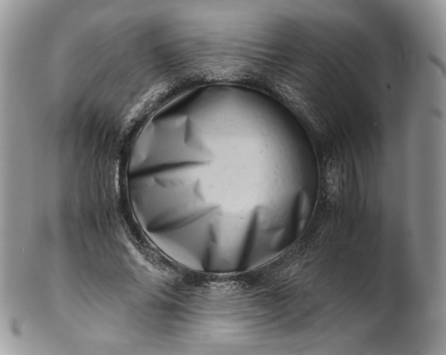 X0000101960686200808011108