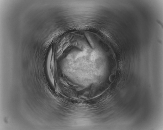 X0000101960687200808011108