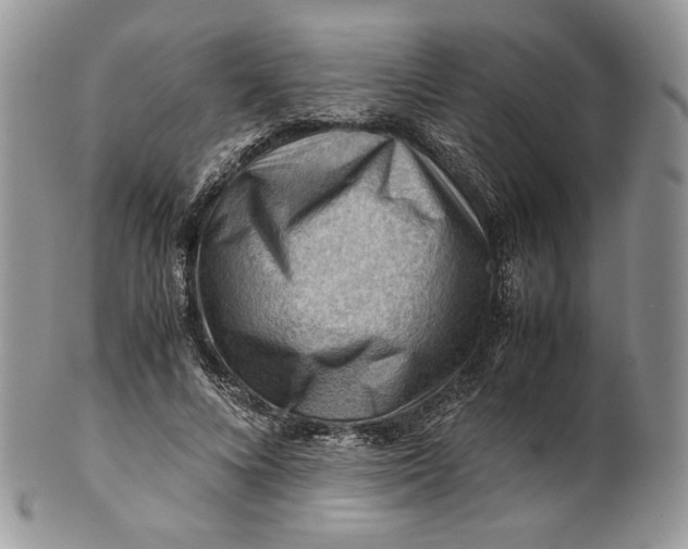 X0000101960688200808011108