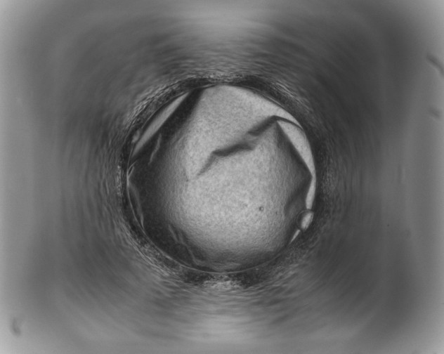 X0000101960689200808011108