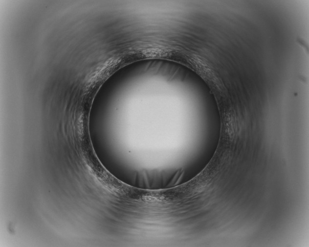 X0000101960690200808011108