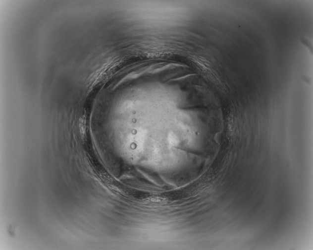 X0000101960691200808011108