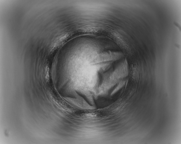 X0000101960692200808011108