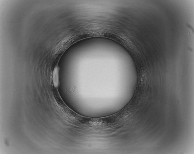 X0000101960693200808011108