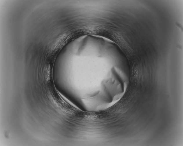 X0000101960694200808011108