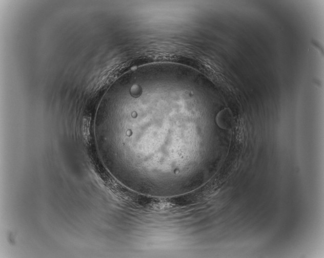 X0000101960695200808011108