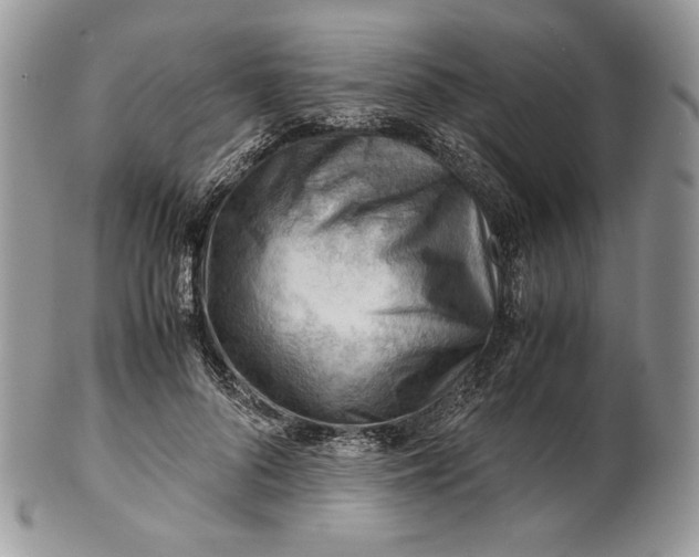 X0000101960696200808011108