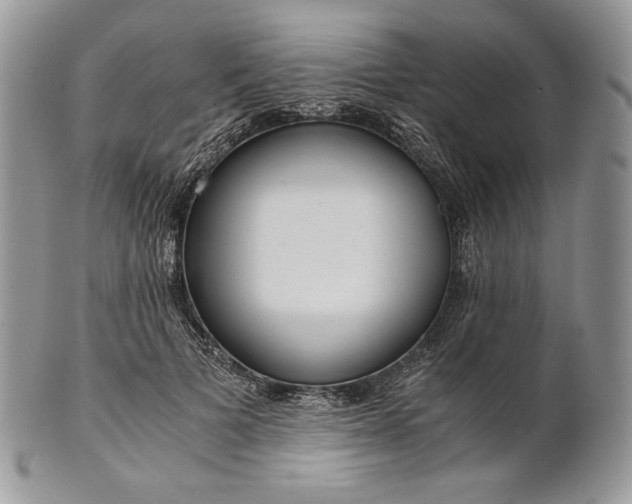 X0000101960697200808011108