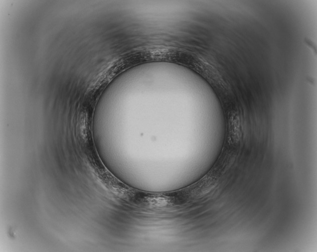 X0000101960698200808011108