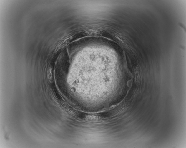 X0000101960699200808011108