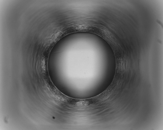 X0000101960700200808011108