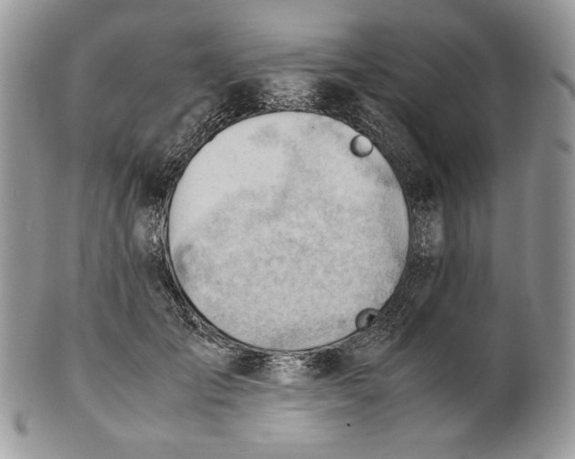 X0000101960701200808011108