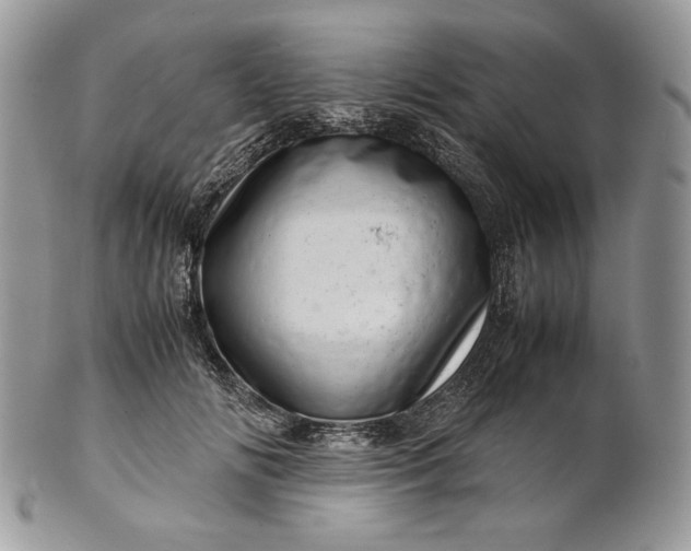 X0000101960702200808011108