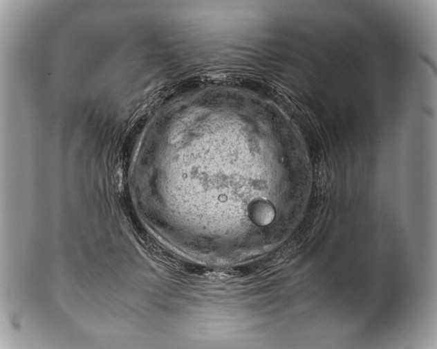 X0000101960703200808011108