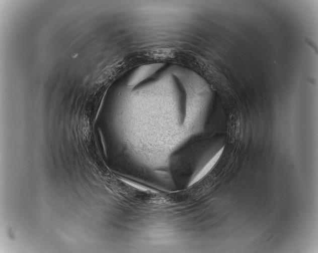 X0000101960704200808011108