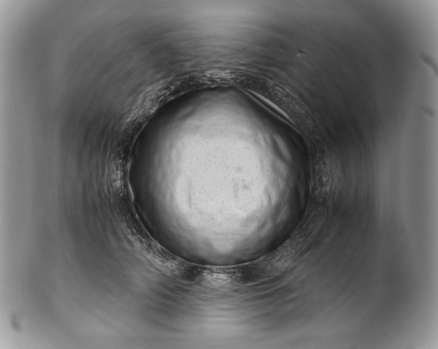 X0000101960706200808011108