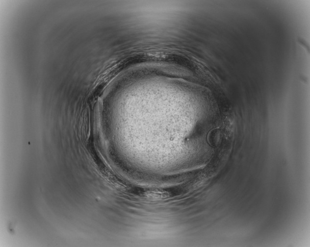 X0000101960707200808011108