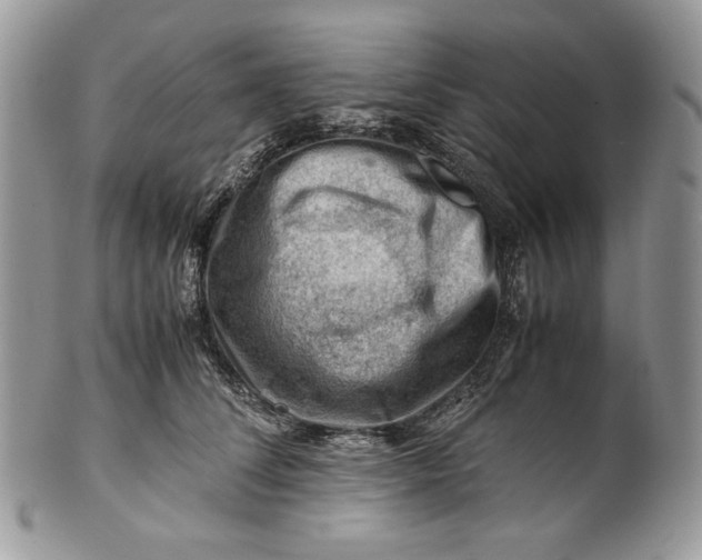 X0000101960708200808011108