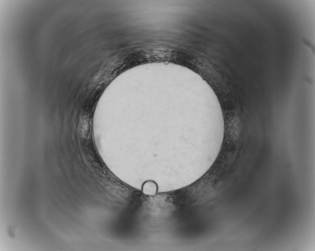 X0000101960709200808011108