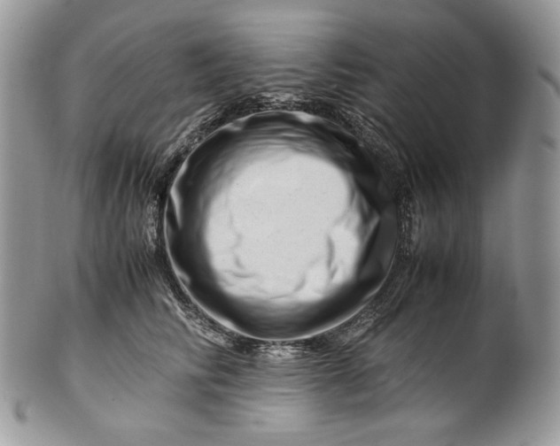 X0000101960710200808011108