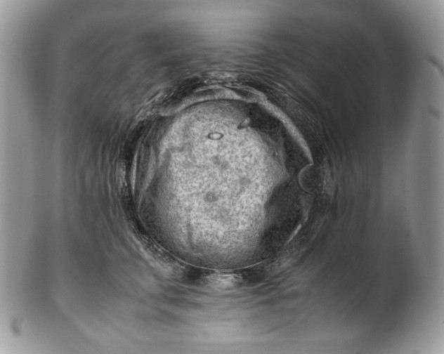 X0000101960711200808011108