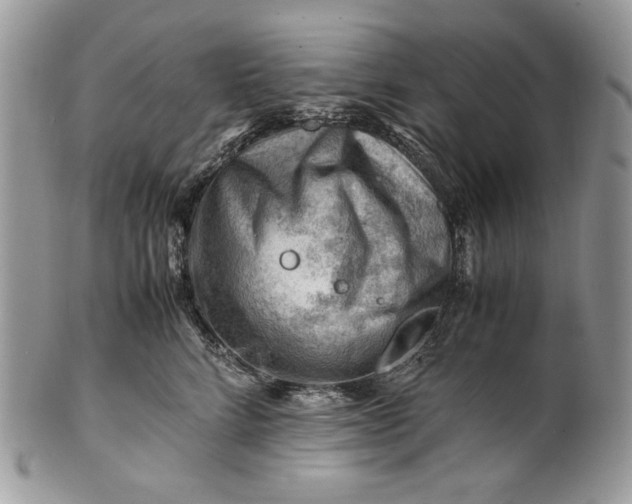 X0000101960712200808011108