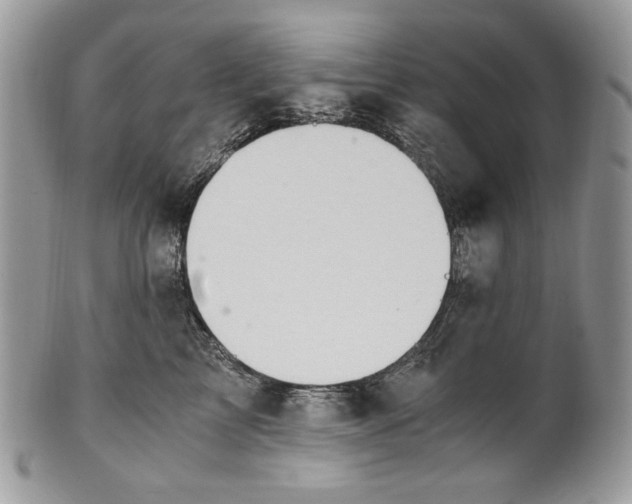 X0000101960713200808011108