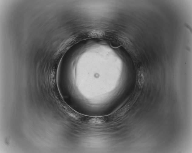 X0000101960714200808011108