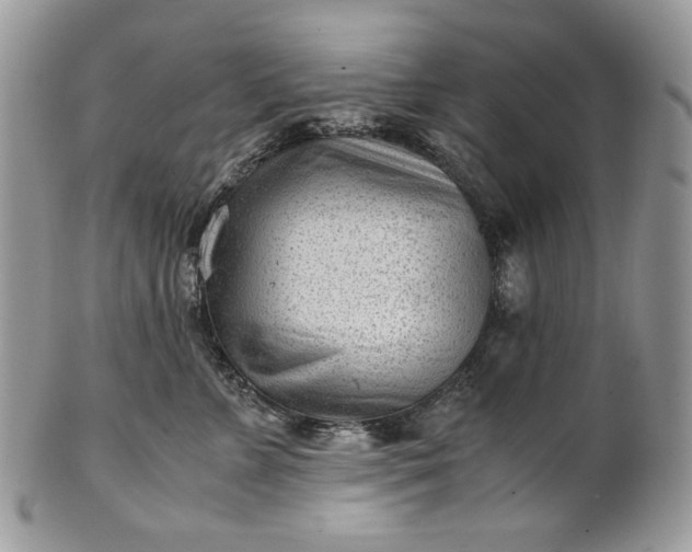 X0000101960715200808011108