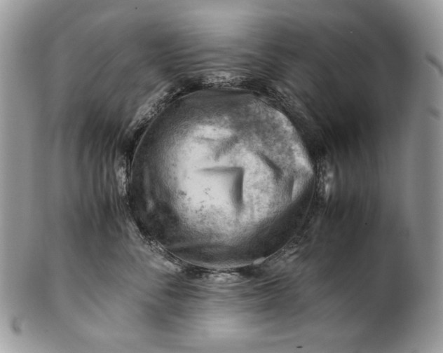 X0000101960716200808011108