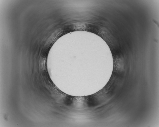 X0000101960717200808011108