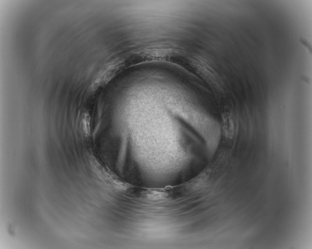 X0000101960718200808011108