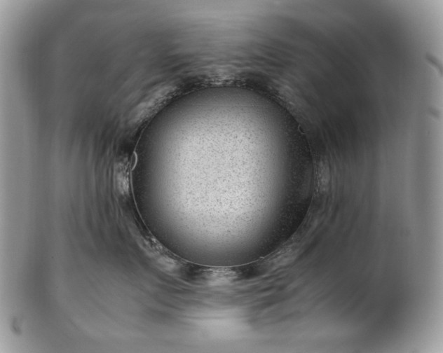 X0000101960719200808011108