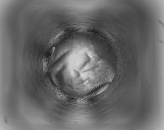 X0000101960720200808011108