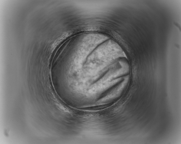 X0000101960721200808011107