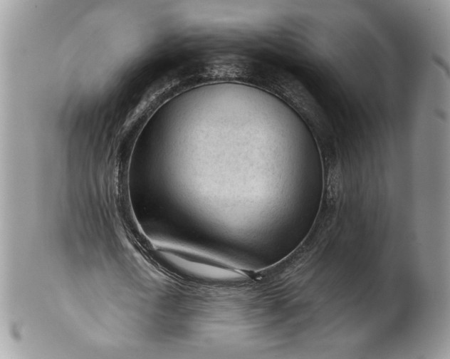 X0000101960722200808011107