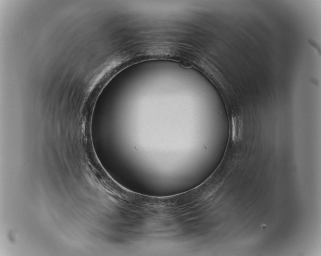 X0000101960723200808011107