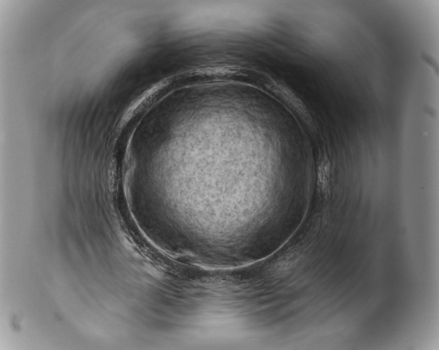 X0000101960724200808011107