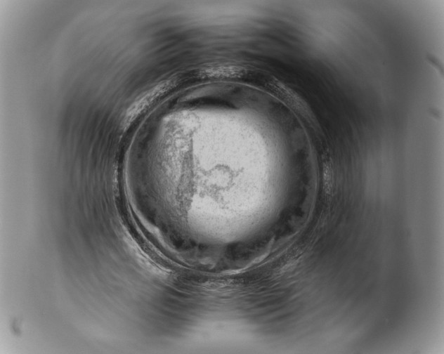 X0000101960725200808011107