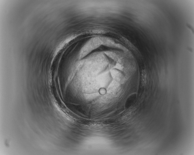 X0000101960726200808011107