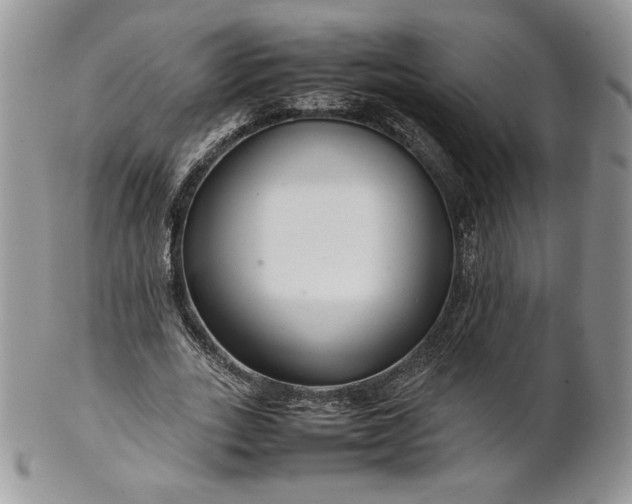 X0000101960727200808011107