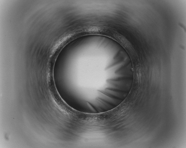 X0000101960728200808011107