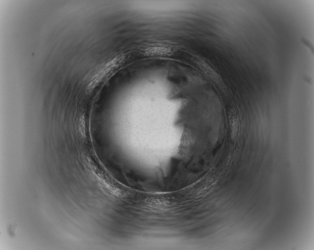 X0000101960729200808011107