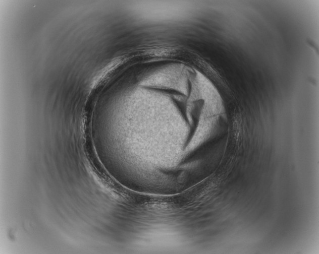 X0000101960730200808011107